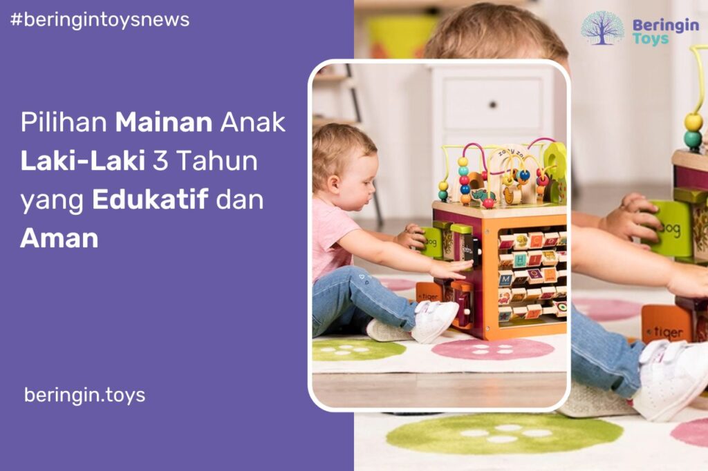 Mainan Anak Laki-Laki 3 Tahun