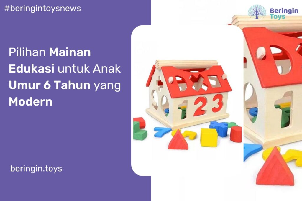 Pilihan Mainan Edukasi untuk Anak Umur 6 Tahun