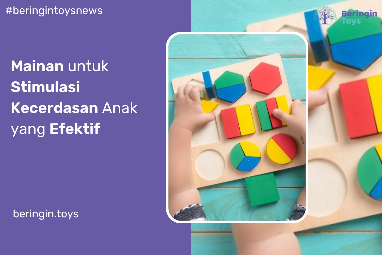 Mainan untuk Stimulasi Kecerdasan Anak